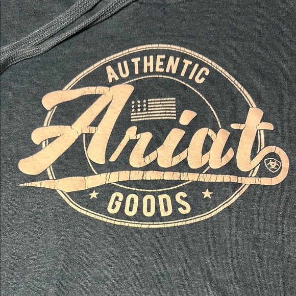 Ariat Womens REAL Hoodie Teal XL - Picture 3 of 13